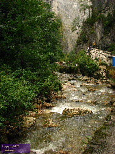 2008-08-30 17-26-23.JPG - 2008-RO>Ri Lacul Rosu-Bicaz Klamm